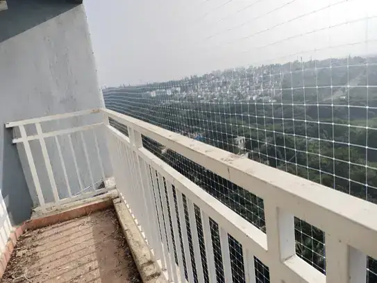 Pigeon Safety Nets